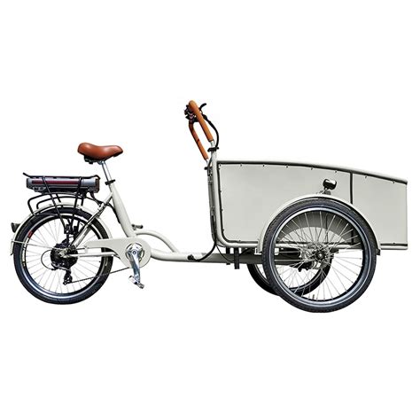 electric box bike|cheapest electric cargo bike.